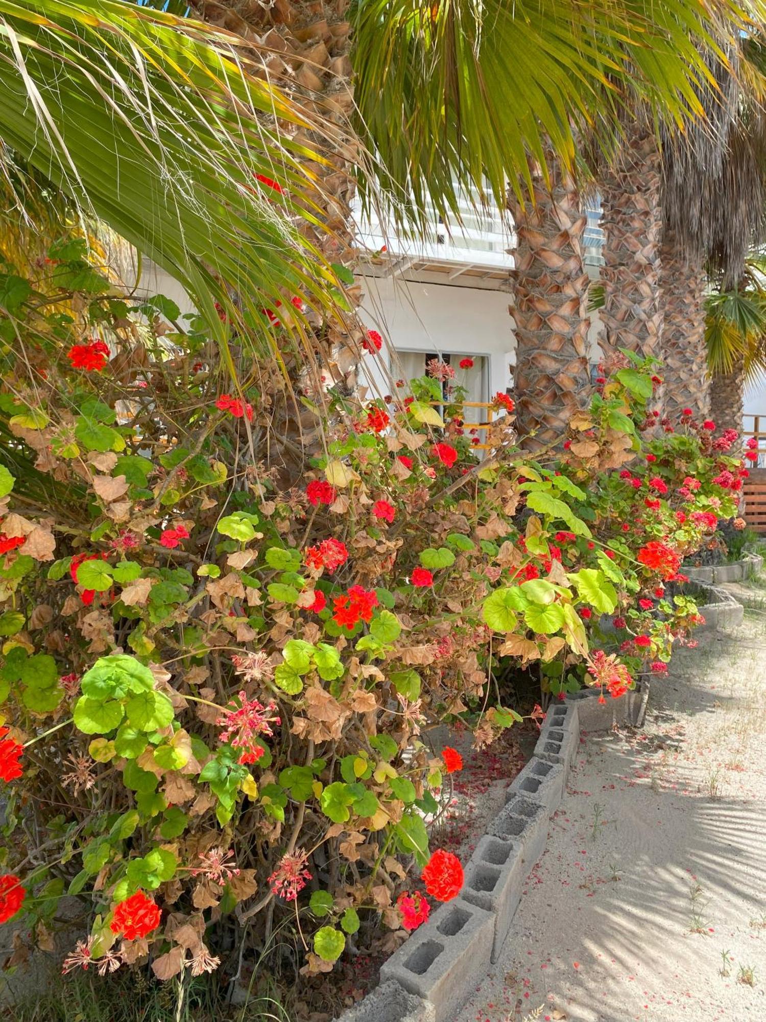 Hotel & Cabanas El Mirador Caldera Ngoại thất bức ảnh