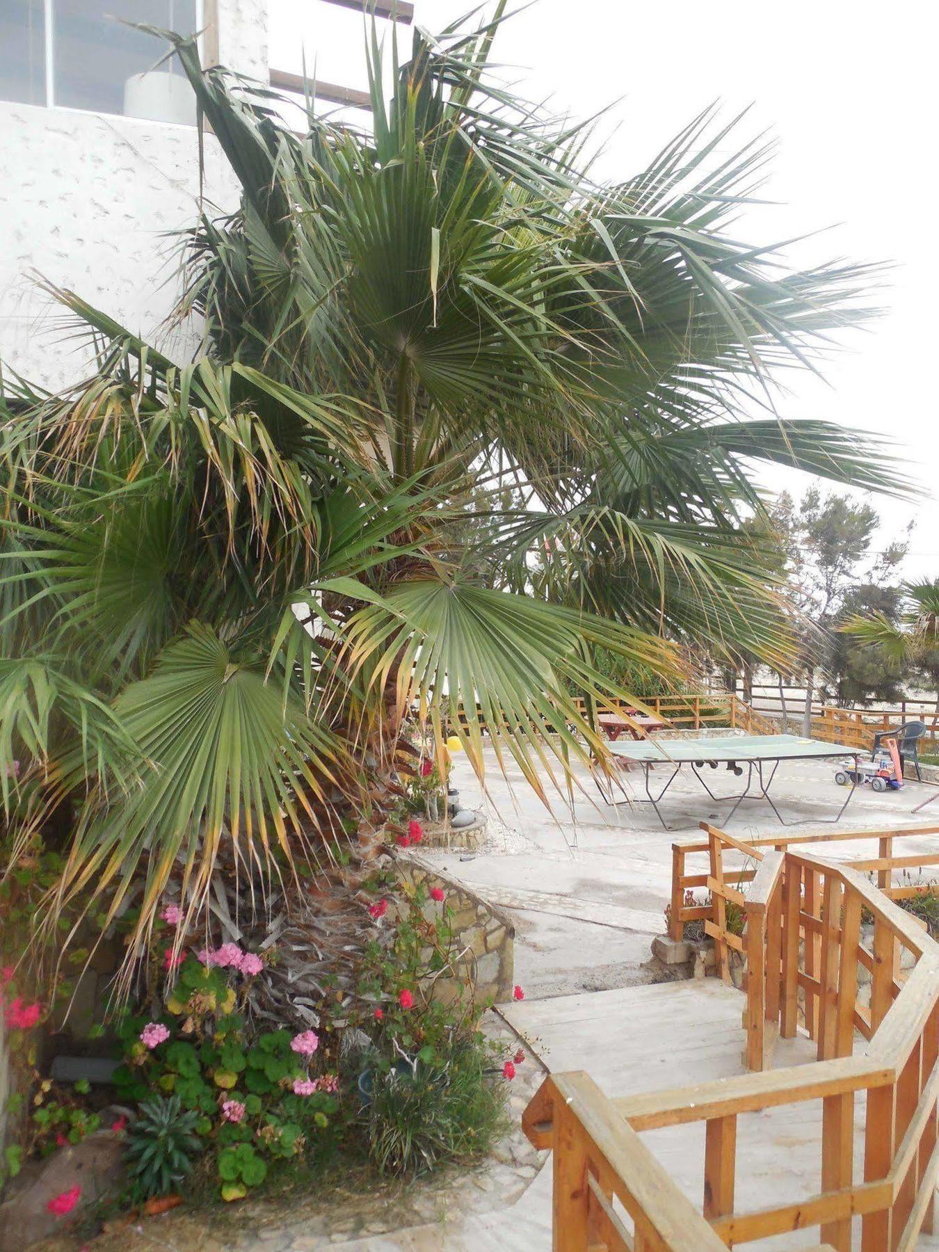 Hotel & Cabanas El Mirador Caldera Ngoại thất bức ảnh
